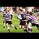 image 30 of 79
